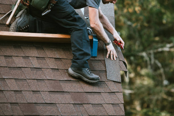 Best Local Roofing Companies  in Edgar, WI